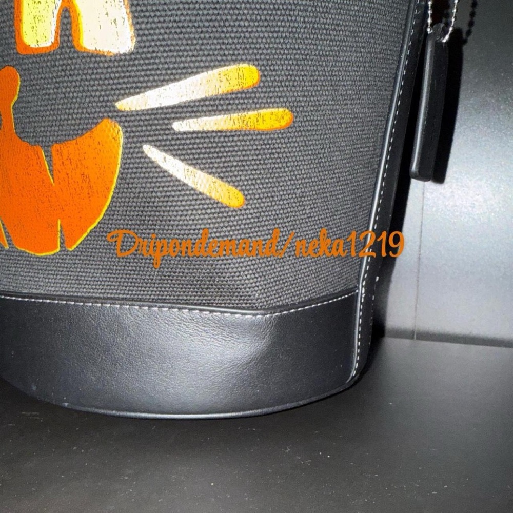 Coach Trick Or Treat Bucket With Halloween Cat In Regenerative Cotton - Picture 4 of 9